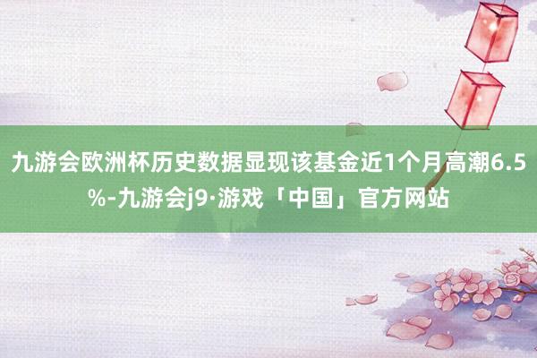 九游会欧洲杯历史数据显现该基金近1个月高潮6.5%-九游会j9·游戏「中国」官方网站