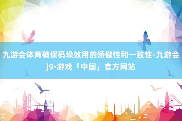 九游会体育确保码垛效用的矫健性和一致性-九游会j9·游戏「中国」官方网站