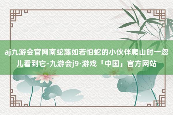 aj九游会官网南蛇藤如若怕蛇的小伙伴爬山时一忽儿看到它-九游会j9·游戏「中国」官方网站