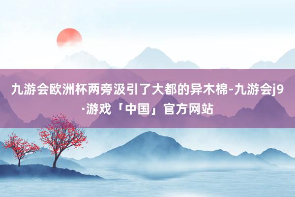 九游会欧洲杯两旁汲引了大都的异木棉-九游会j9·游戏「中国」官方网站