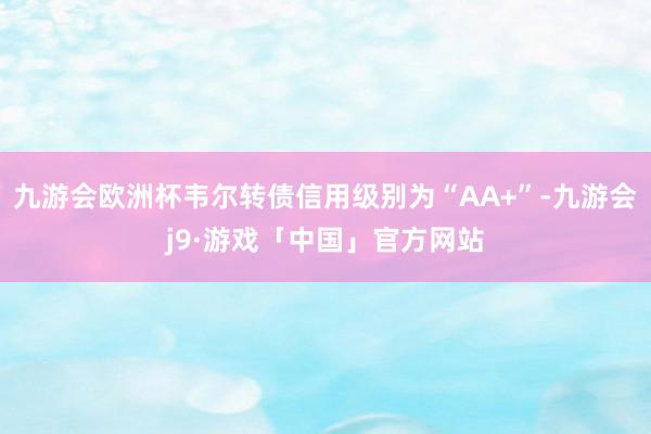 九游会欧洲杯韦尔转债信用级别为“AA+”-九游会j9·游戏「中国」官方网站