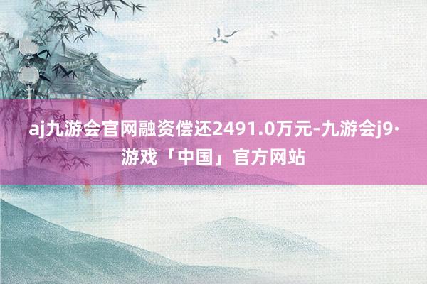 aj九游会官网融资偿还2491.0万元-九游会j9·游戏「中国」官方网站