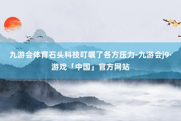 九游会体育石头科技叮嘱了各方压力-九游会j9·游戏「中国」官方网站